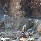 2021-06-17 ZOO Hodonn